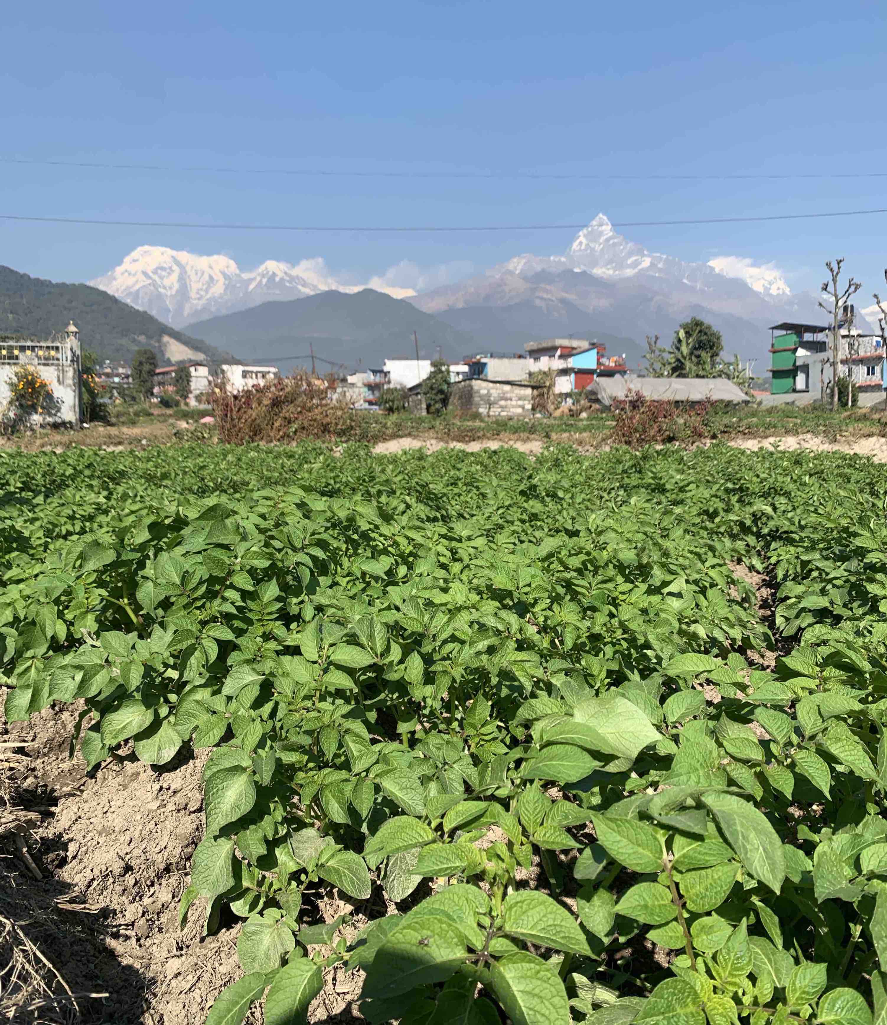 Officials visiting Hemja Agro
